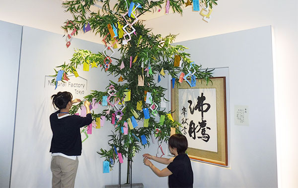 bamboo-leaf-image02