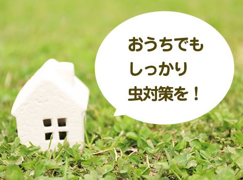 おうちも要注意!虫対策は室内でも大切です