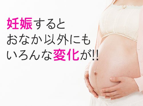 妊娠中の体の変化に慌てる前に!知っておきたい「ホルモン」の影響