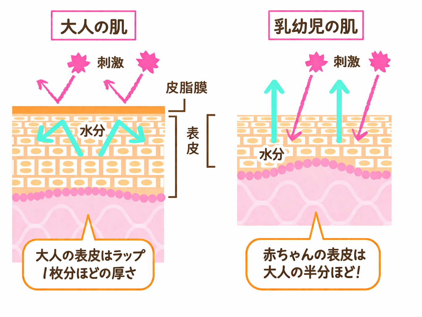 大人と乳幼児の紫外線のお肌への影響