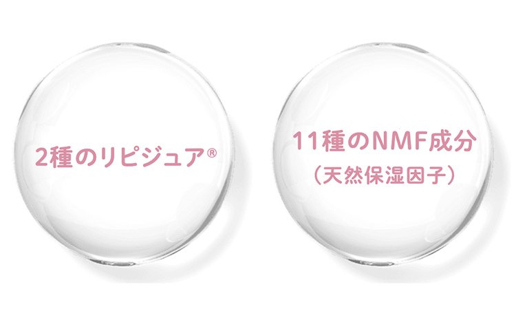 2種のリピジュア® 11種のNMF成分(天然保湿因子)