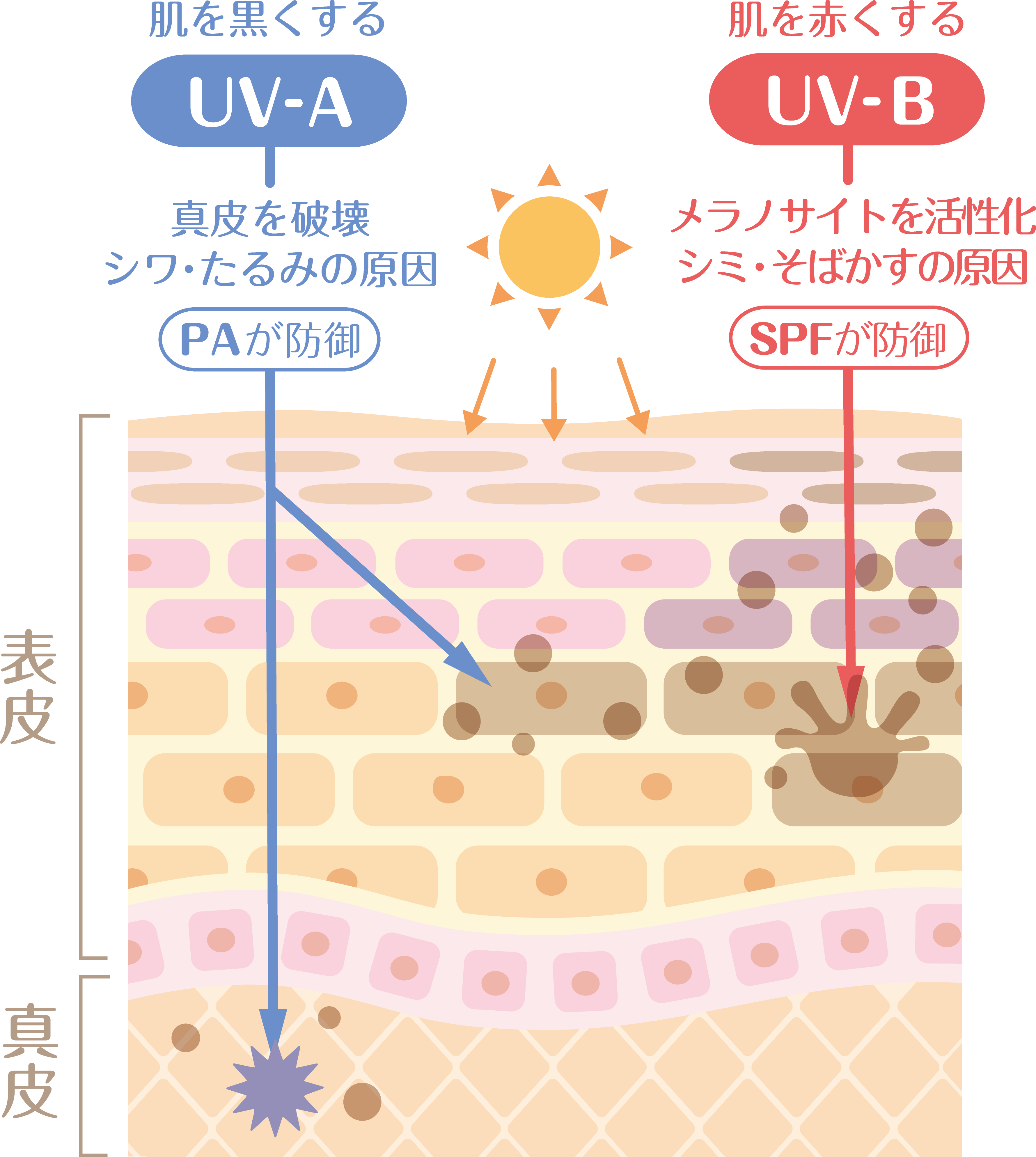 子ども用の日焼け止め