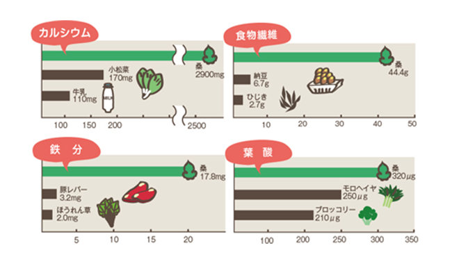 五訂増補日本食品標準成分表2010