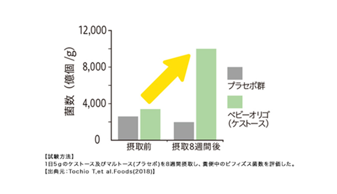 1日5gのケストース及びマルトース(プラセボ)を8週間摂取し、評価した図