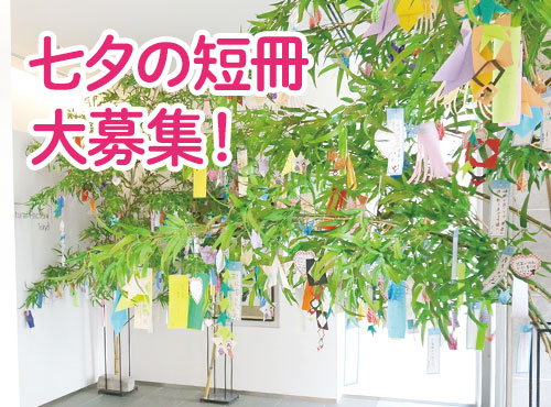 7 7 土 は七夕 皆さまからの短冊を今年も募集しています お知らせ ナチュラルサイエンス For Mama Kids Smile