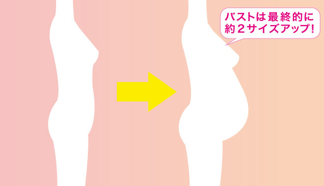 ヶ月 大き さ 妊娠 お腹 の 4 妊娠4ヶ月目！妊婦さんと赤ちゃんはどんな状態？お腹の大きさは？