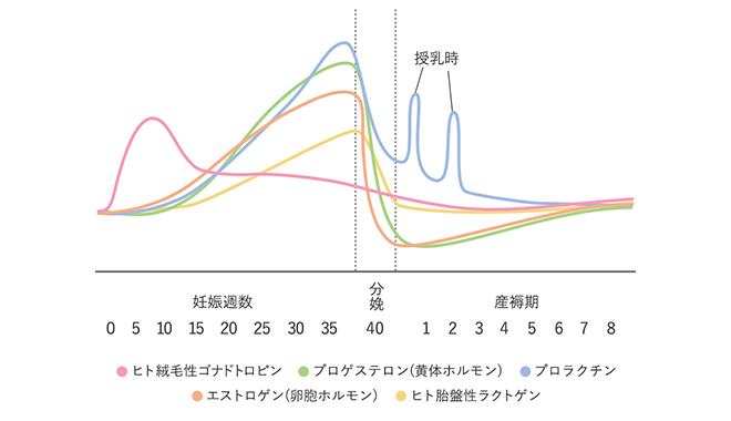 妊娠をきっかけに、カサカサ＆敏感肌に…！？