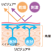 リピジュア🄬　イメージ図
