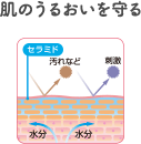肌のうるおいを守る