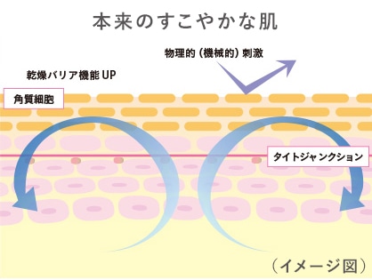 本来のすこやかな肌