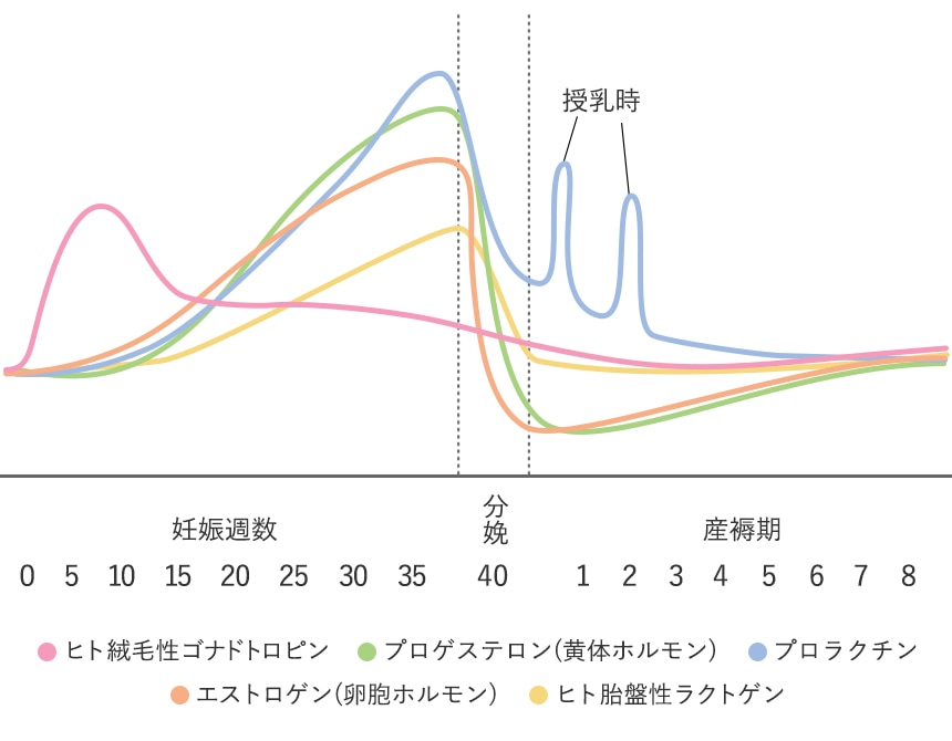 8割以上の妊婦さんが経験する 肌の変化 後悔しないためのカギは トラブルが起きる前の対策です 大人と子どもの敏感肌 敏感乾燥肌 Ad処方 ママ キッズ オリゴライン