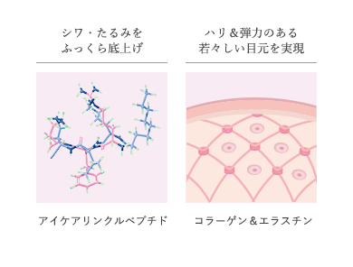 シワ・たるみをふっくら底上げしてハリ&弾力のある若々しい目元を実現