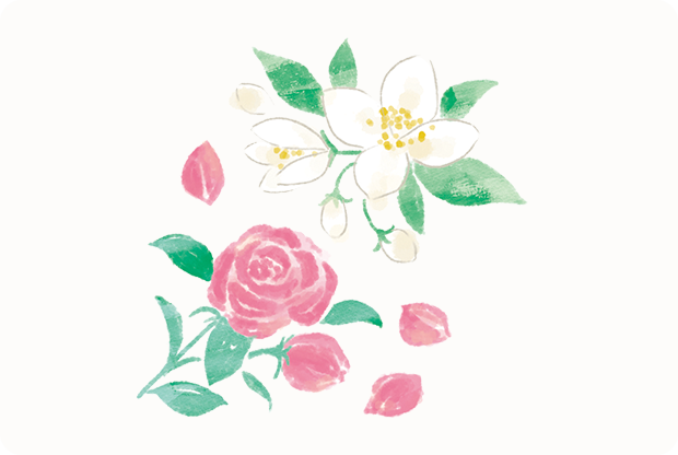ローズ・ネロリの花イラスト