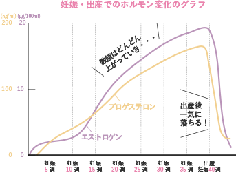妊娠・出産でのホルモン変化のグラフ