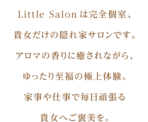 Little Salon͊SAM̉BƃTłBA}̍ɖȂA莊̋ɏ̌BƎdŖ撣MւJB