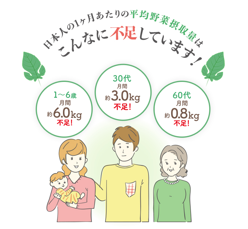 日本人の1ヶ月あたりの平均野菜摂取量はこんなに不足しています！