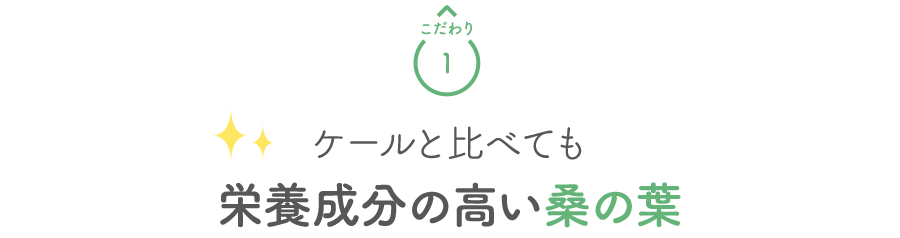 こだわり1 ケールと比べても栄養成分の高い桑の葉