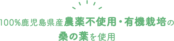 100%鹿児島県産無農薬・有機栽培の桑の葉を使用