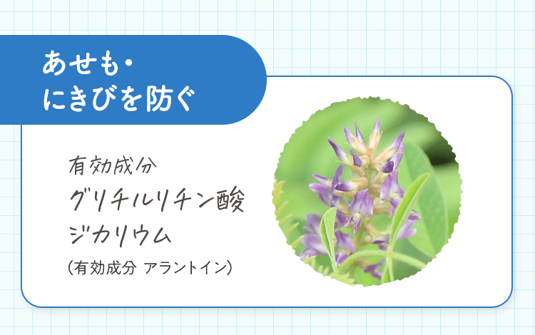 [あせも・にきびを防ぐ] 有効成分 グリチルリチン酸 ジカリウム（有効成分 アラントイン）