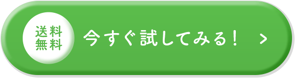 お得なセットを今すぐ試してみる！
