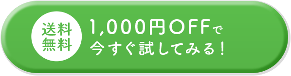 お得なセットを今すぐ試してみる！