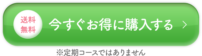 送料無料　今すぐお得に購入する