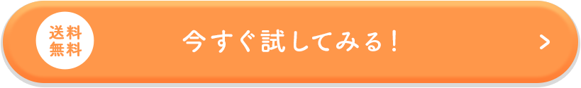 今すぐ試してみる！