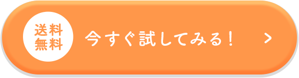 今すぐ試してみる！