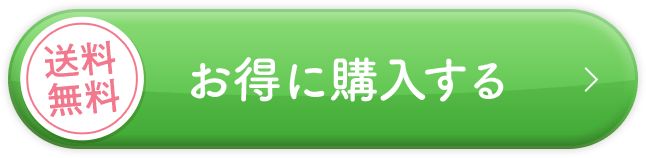 送料無料 お得に購入する