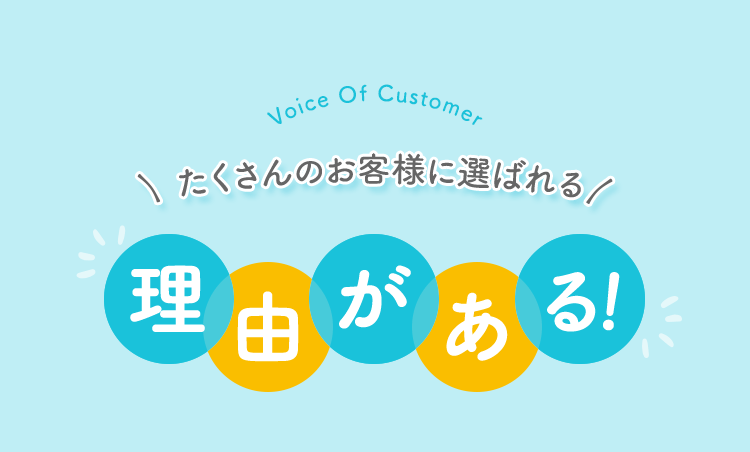 Voice of Customer