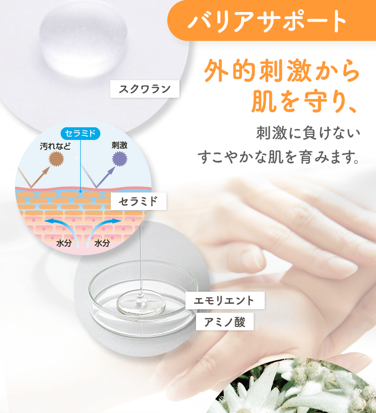 バリアサポート 外的刺激から 肌を守り、刺激に負けないすこやかな肌を育みます。