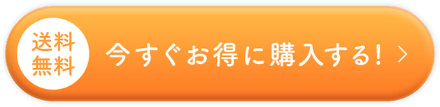 送料無料！今すぐお得に購入する!