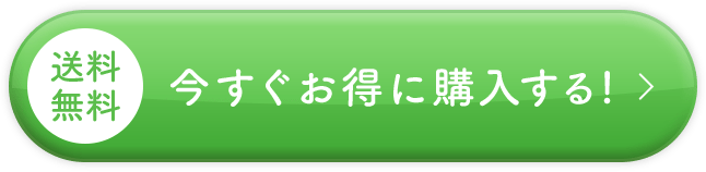 送料無料！今すぐお得に購入する!