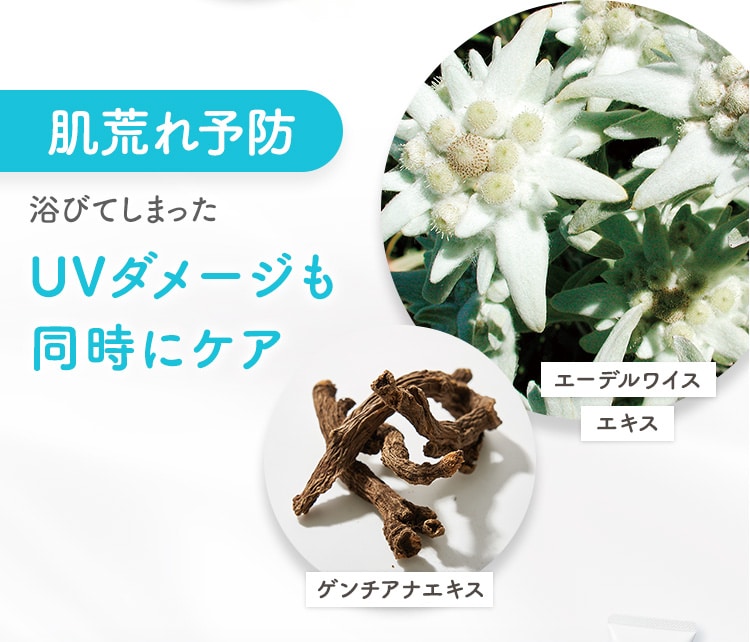 肌荒れ予防 浴びてしまったUVダメージも同時にケア