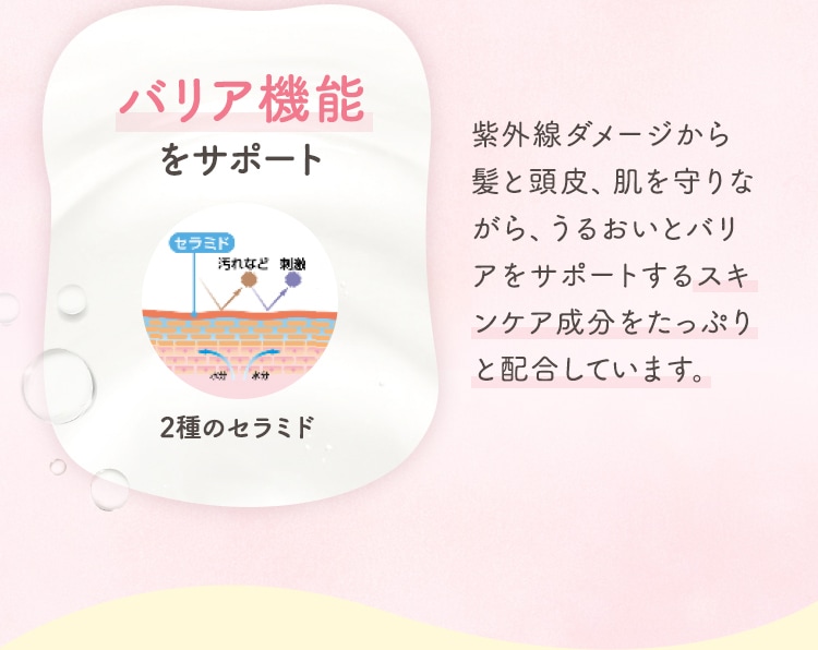 バリア機能をサポート