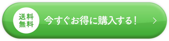 今すぐお得に試してみる！