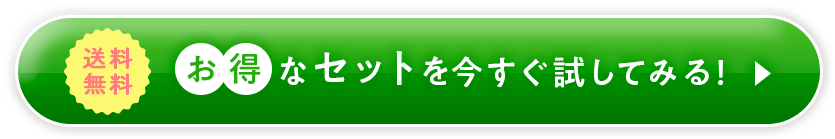 お得なセットを今すぐ試してみる