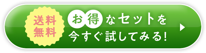 お得なセットを今すぐ試してみる