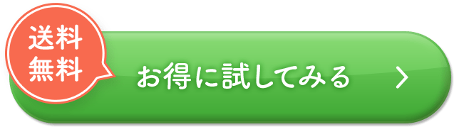お得に試してみる