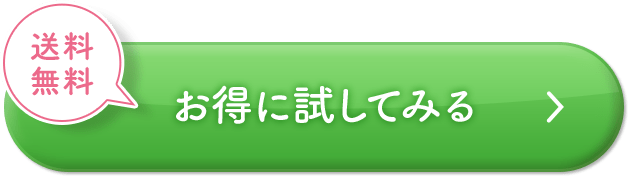 お得に試してみる