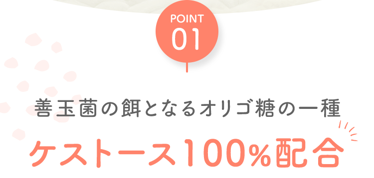 POINT01 善玉菌の餌となるオリゴ糖の一種 ケストース100%配合