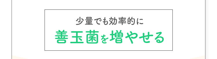 少量でも効率的に善玉菌を増やせる