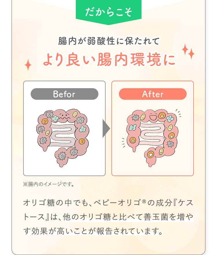 だからこそ腸内が弱酸性に保たれてより良い腸内環境にオリゴ糖の中でも、ベビーオリゴ®︎の成分『ケストース』は、他のオリゴ糖と比べて善玉菌を増やす効果が高いことが報告されています。