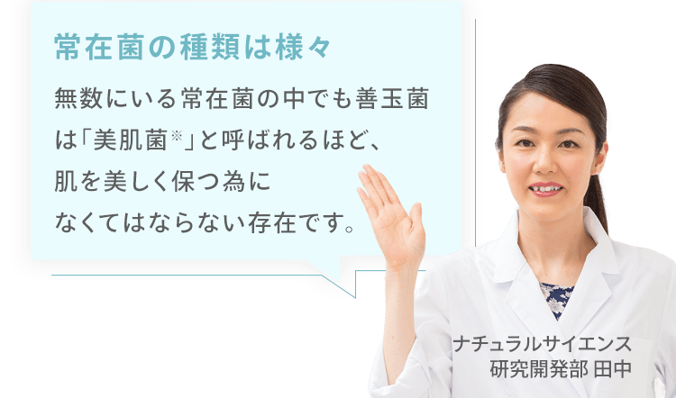 ナチュラルサイエンス研究開発部 田中「常在菌の種類は様々 無数にいる常在菌の中でも善玉菌は「美肌菌※」と呼ばれるほど、 肌を美しく保つ為に なくてはならない存在です。」