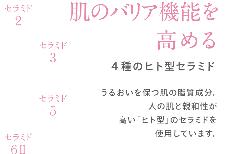 肌のバリア機能を 高める ４種のヒト型セラミド うるおいを保つ肌の脂質成分。人の肌と親和性が 高い「ヒト型」のセラミドを 使用しています。セラミド2 セラミド3 セラミド5 セラミド６Ⅱ