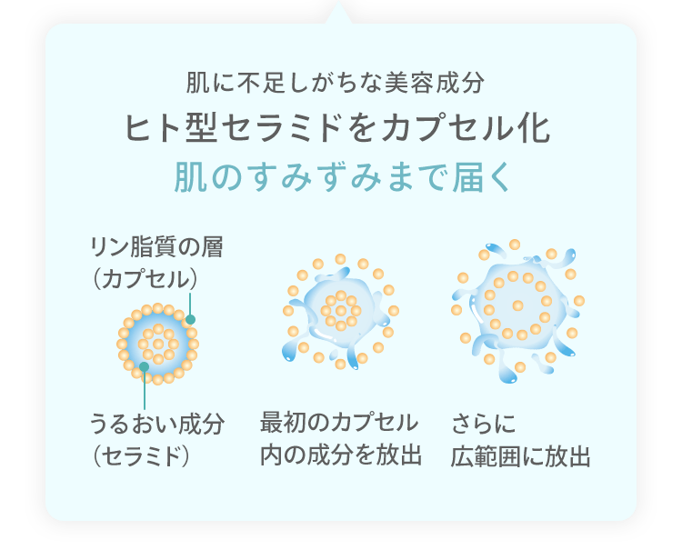 肌に不足しがちな美容成分 ヒト型セラミドをカプセル化 肌のすみずみまで届く リン脂質の層（カプセル）うるおい成分（セラミド） 最初のカプセル内の成分を放出 さらに広範囲に放出