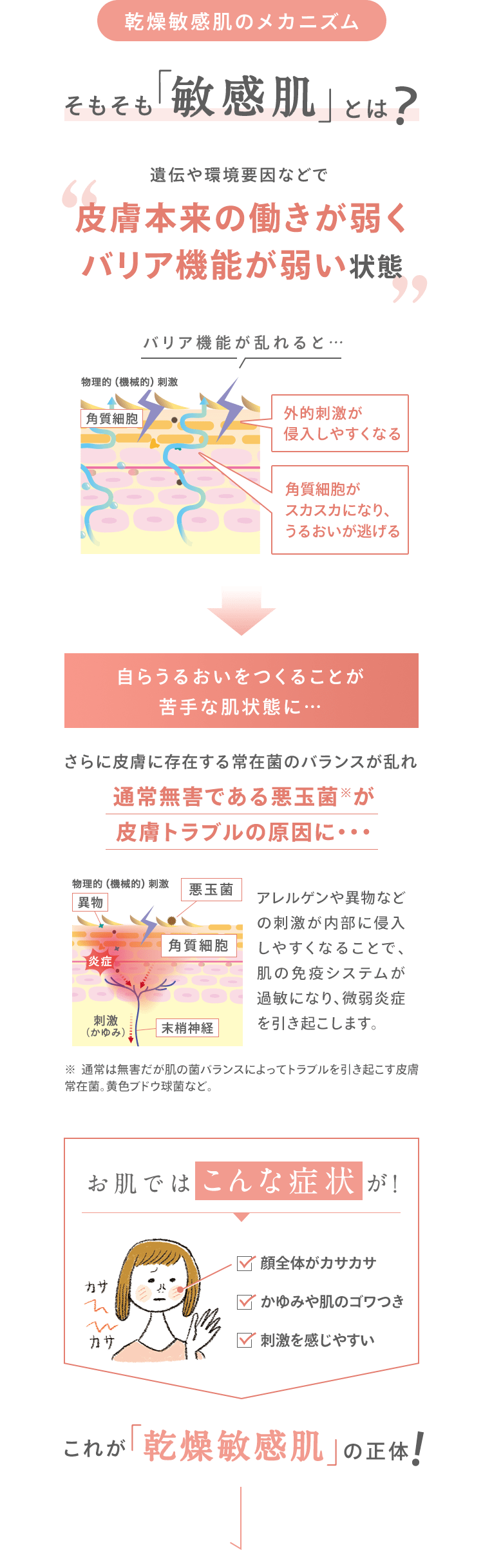 [乾燥敏感肌のメカニズム] そもそも「敏感肌」とは？ 遺伝や環境要因などで 皮膚本来の働きが弱く バリア機能が弱い状態