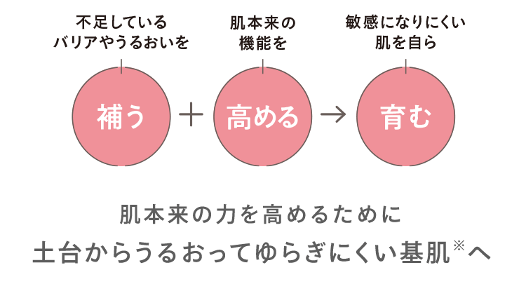 肌本来の力を高めるために 土台からうるおって ゆらぎにくい基肌※へ