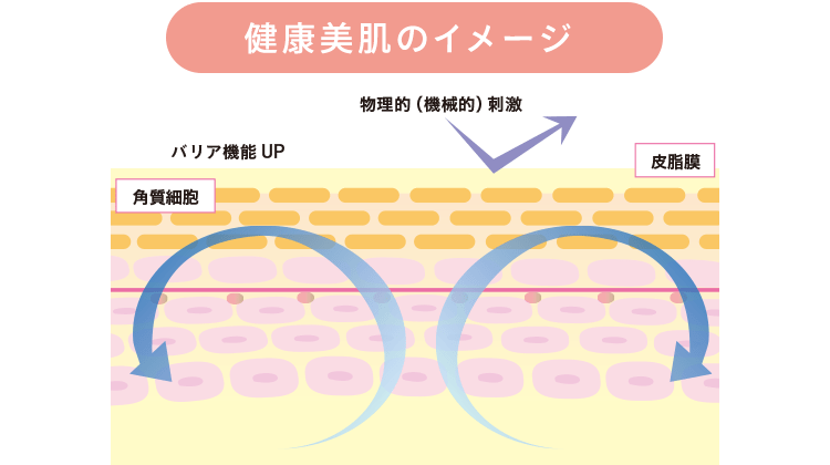 [健康美肌のイメージ] 