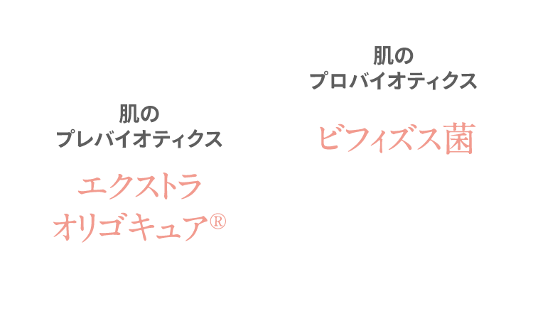 肌のプレバイオティクス エクストラオリゴキュア + 肌のプロバイオティクス ビフィズス菌